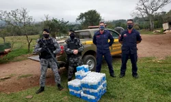 Brigada apreende dez capivaras em carro abandonado