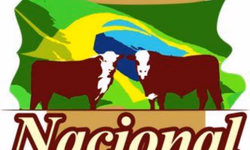 Uruguai seleciona conjuntos para a final do Freio de Ouro