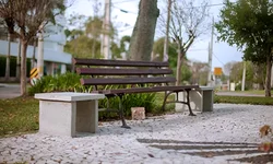 Começa hoje a estação mais charmosa do ano