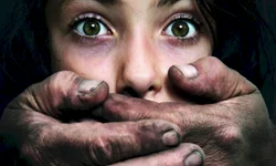 PRF apreende cerca de 50kg de droga