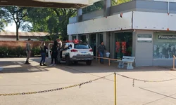 Fiscalização retira mais de 20 cavalos soltos nas vias da cidade