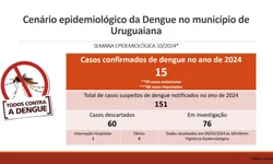 Carros alegóricos continuam na avenida atrapalhando o trânsito