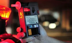 Duas pessoas encaminhadas à Delegacia por crime ambiental