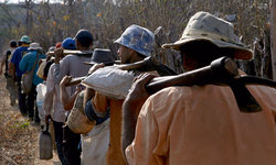 Denúncias de trabalho escravo batem recorde