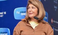 PL reconhece o ofício de domador como Patrimônio Histórico e Cultural