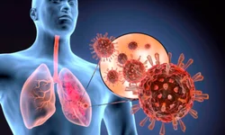 Uruguaiana registra morte por vírus sincicial