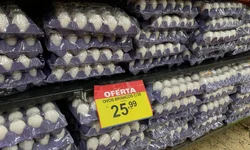 Lula demite Nísia Trindade e nomeia Padilha para o Ministério da Saúde