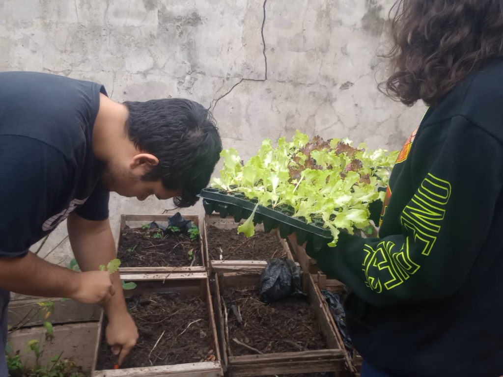 Horta Solidária do Jonfa é retomada