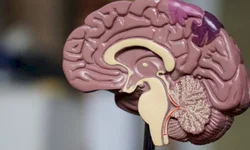 RS investe mais de R$ 392,3 milhões em obras e equipamentos hospitalares