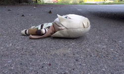 BM deflagra operação contra crimes rurais