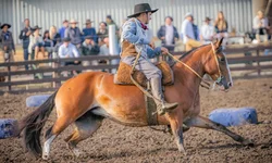 Vencedores da Prova de Eficiência Alimentar serão conhecidos no próximo dia 27