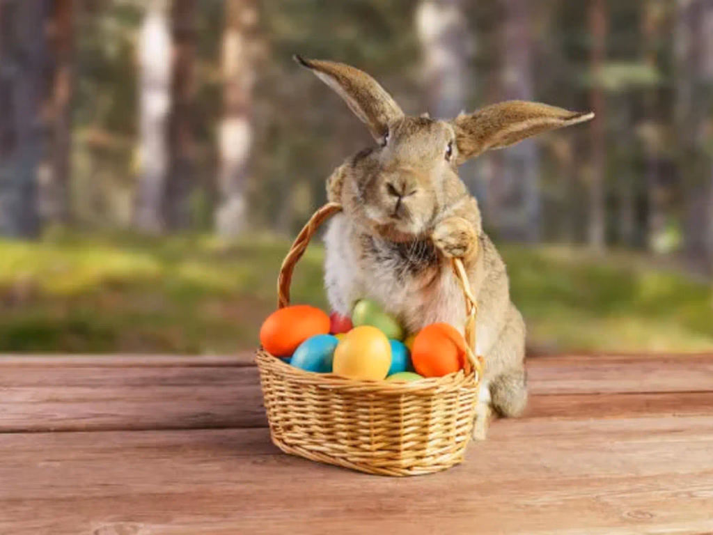 Programação de Páscoa começa nesta quinta-feira em Uruguaiana