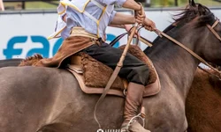 Sebrae RS lança página para esclarecer dúvidas sobre linhas de crédito