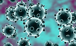 Feira da Comunidade será retomada neste domingo