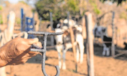 Bolsonaro pede anulação de votos ao TSE