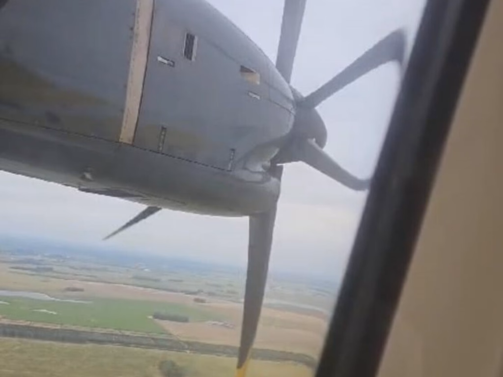 Avião retorna ao aeroporto após colisão com pássaro