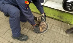 Brasil terá internet via satélite que atinge 100% do seu território