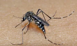 Santa Casa de Alegrete inaugura novos setores