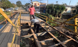 Rede de articulação com os municípios é prioridade, diz Secretária