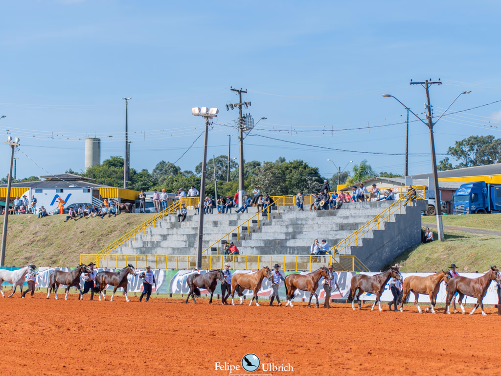 ABCCC altera programação da Classificatória ao Freio de Ouro das regiões 5, 7 e 8