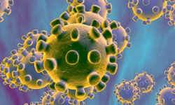 Lar da Velhice também já adota medidas preventivas