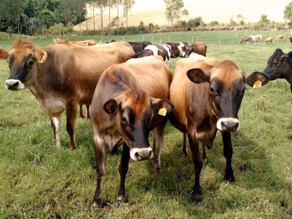 Mudança de status precisará de mais medidas de prevenção, diz Simvet