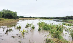 Defesa Civil alerta mais dois dias de chuva para Uruguaiana