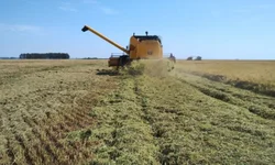 Hotelaria e gastronomia registram alta durante o Carnaval