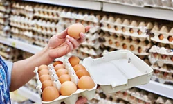 Entrega das obras do ginásio acontece na quarta-feira