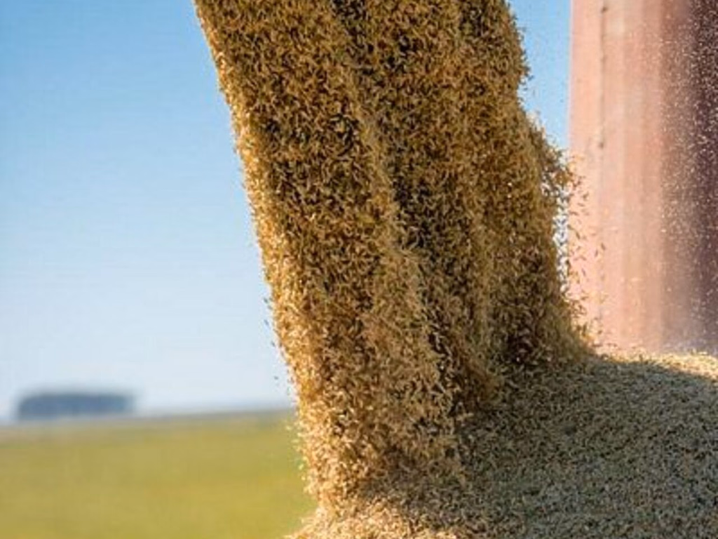 Caixa confirma renegociação para produtores atingidos por problemas climáticos