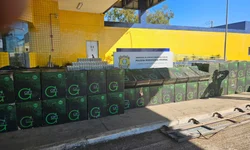 Ministério da Justiça regula uso de IA por forças de segurança