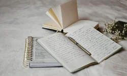 Seduc reforça autodeclaração no Censo Escolar 2025