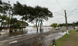 Cooperativa de Uruguaiana entrega mais de 16 mil kg de doações