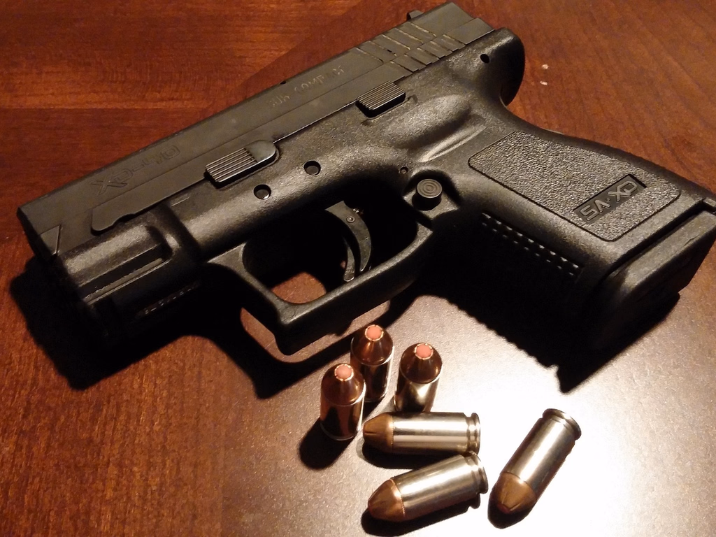 Cadastro de armas passa a ser obrigatório