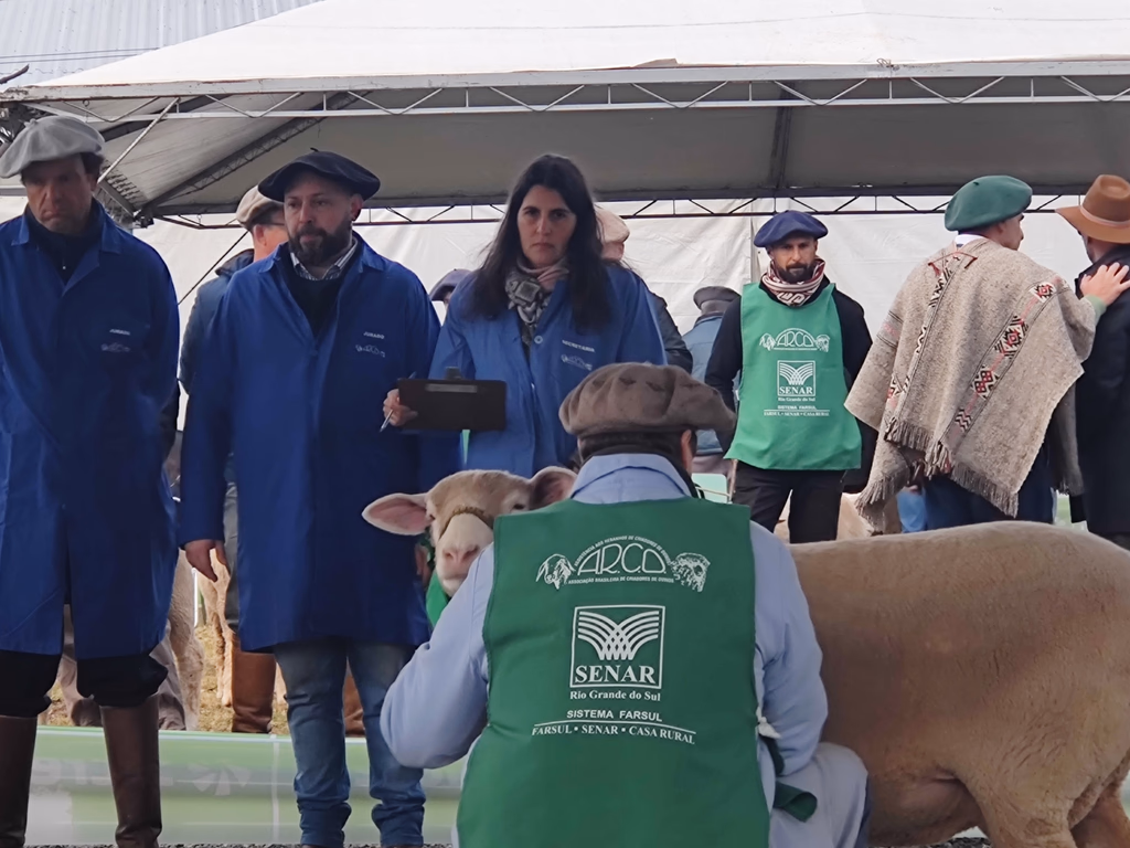 Genética e tecnologia impulsionam a Fenovinos 2025