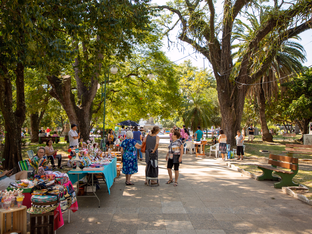 Vereadora sugere consulta popular sobre uso de empréstimo de R$ 100 milhões