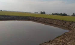 Solenidade registra homenagens na Semana Farroupilha