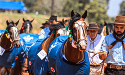 Brasil bate recorde histórico de exportação de soja