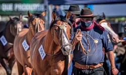 Grêmio vence Caxias e fica a um empate da final do Gauchão