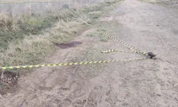 Duas pessoas assassinadas em 24h