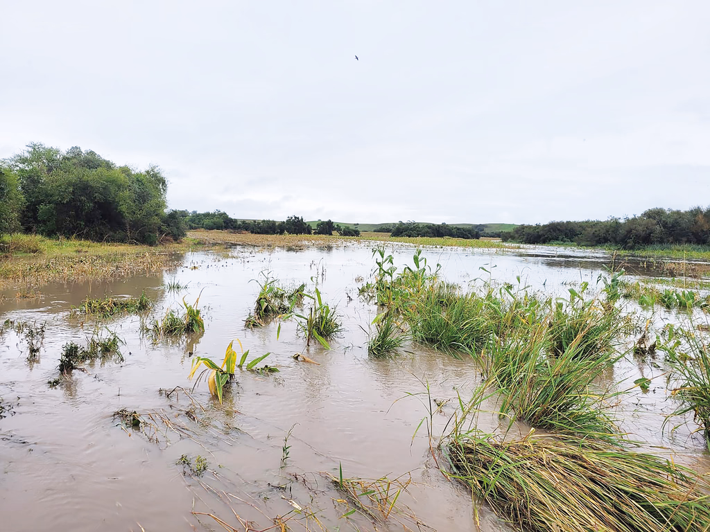Produtores podem renegociar crédito rural