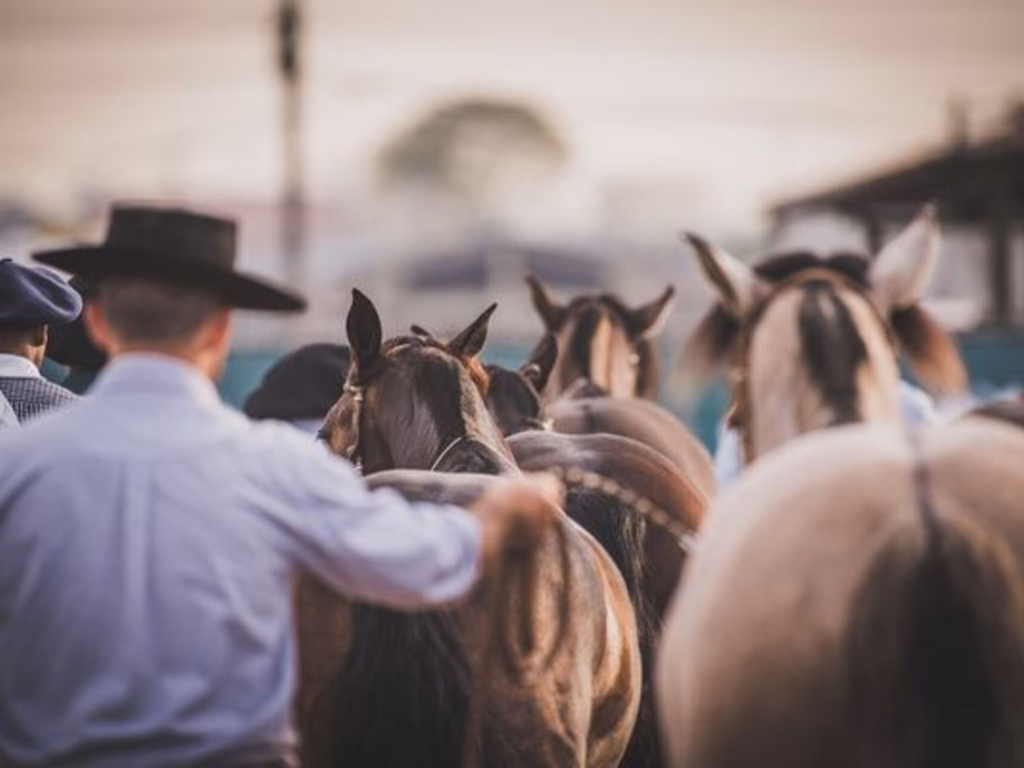Rota das Morfologias Passaporte em 2019 chega a Uruguaiana em abril