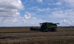 Sicredi Essência anuncia R$ 250 milhões para o Plano Safra