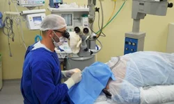 Intervalo de aplicação diminui para cinco meses