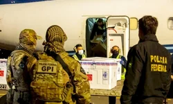 OMS utilizará letras gregas para nomear as variantes do coronavírus