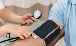 Expointer será lançada na próxima segunda