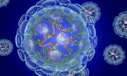 Uruguaiana chega a 61 casos de coronavírus