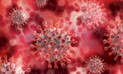 Barreira sanitária já atendeu mais de 2 mil motoristas