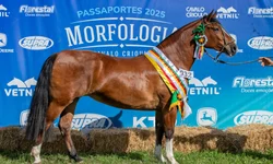 Uruguaiana participa de evento internacional de inovação