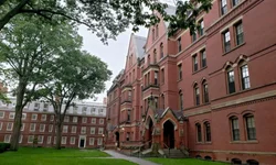 Universidade de Stanford oferece 33 cursos gratuitos para fazer online